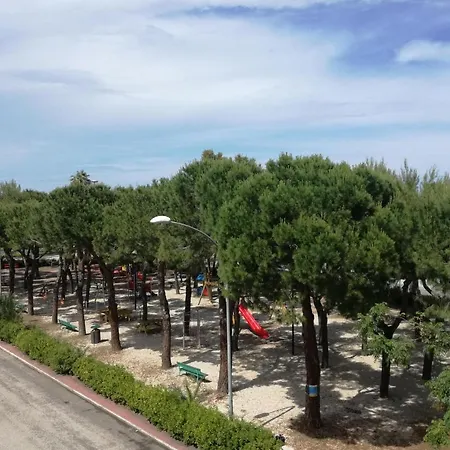 Novella Del Mar Prima Fila Dal Mare Nyaraló Grottammare